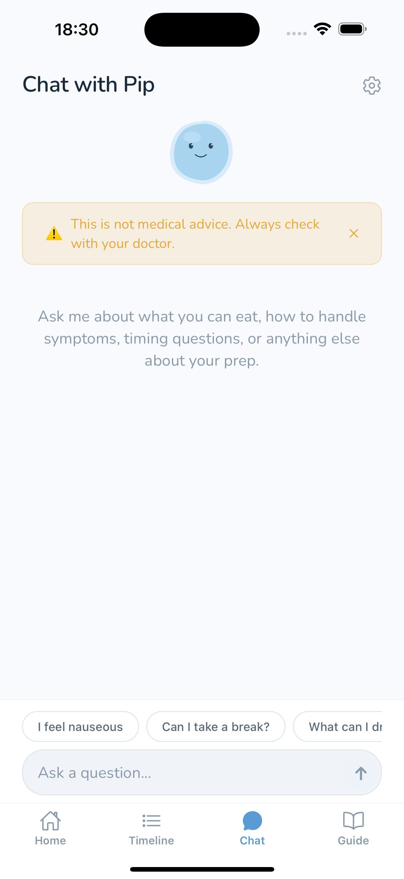 Chat with Pip